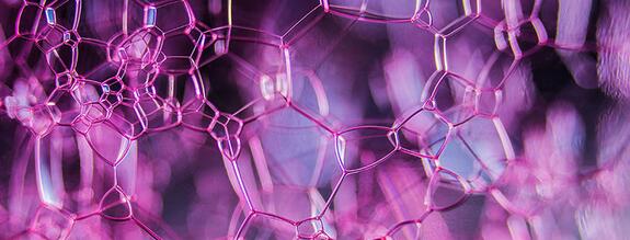 Pharma and Fine chemicals